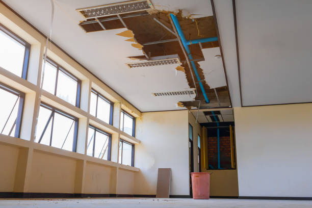 Best Water damage cleanup near me  in Springfield, FL
