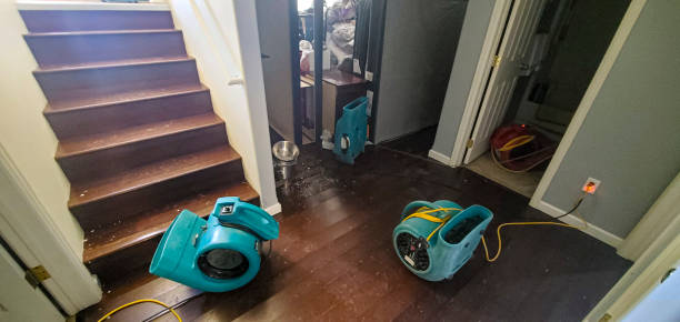 Best Local water damage restoration  in Springfield, FL