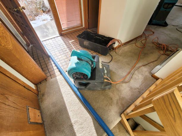 Best Ceiling water damage repair  in Springfield, FL
