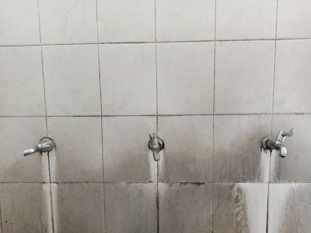 Best Emergency water damage restoration  in Springfield, FL