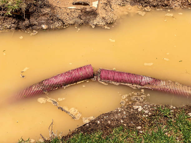 Best Water damage restoration near me  in Springfield, FL